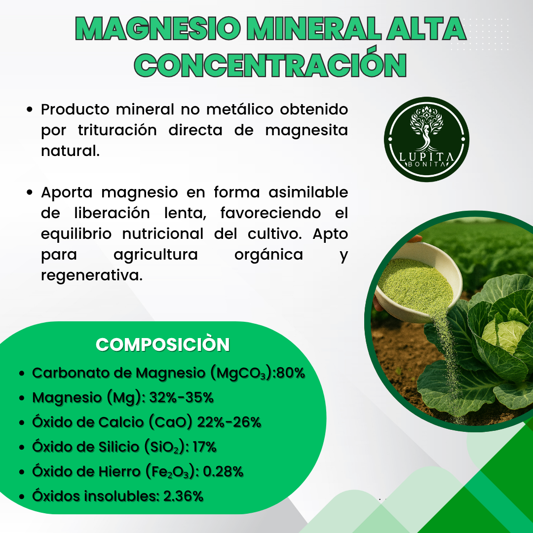 Magnesio Mineral Alta Concentración – Fuente natural de magnesio para fotosíntesis y fortalecimiento de frutos
