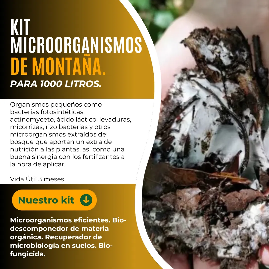 Kit Microorganismos Activados 1000 L – Bioinoculante educativo para suelos, cultivos y bioinsumos