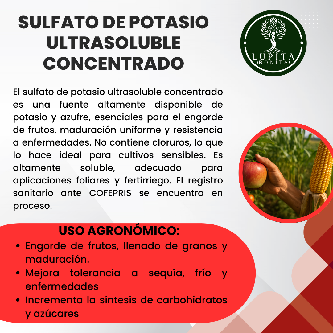 Sulfato de Potasio Ultrasoluble Concentrado – Fertilizante mineral para maduración, engorde y resistencia vegetal