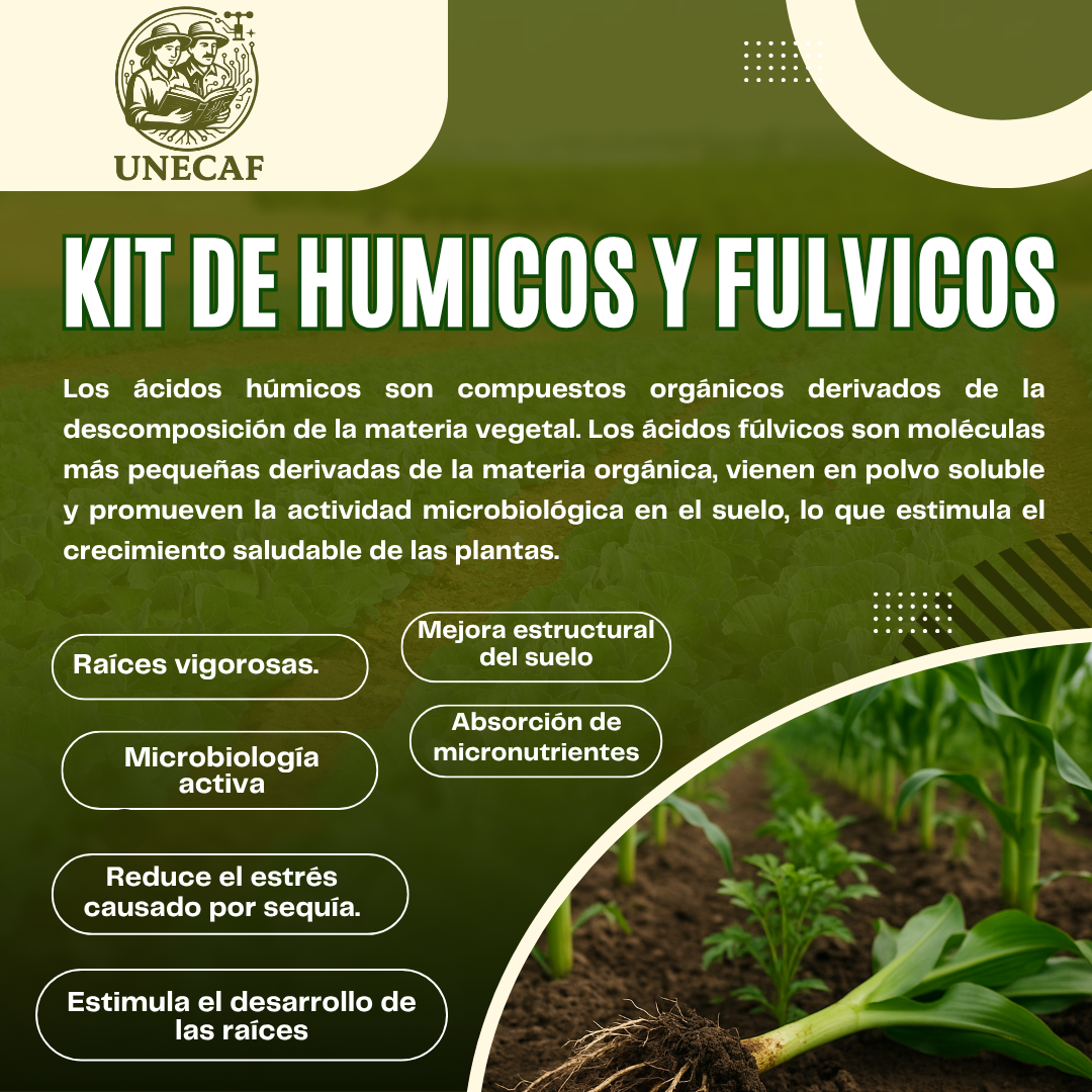 Kit Ácidos Húmicos, Fúlvicos y Carboxílicos Líquidos 200 L – Preparado educativo para bioinsumos regenerativos