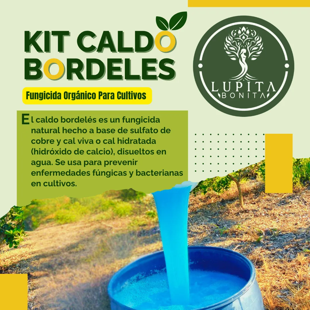 Kit Caldo Bordelés Concentrado 200 L – Biofungicida mineral artesanal preventivo para cultivos y jardines