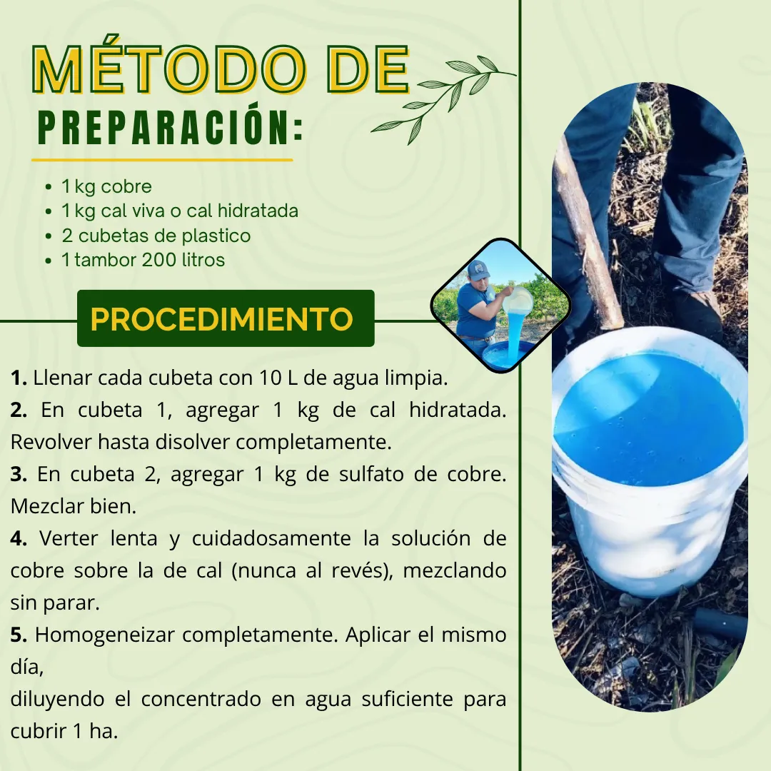 Kit Caldo Bordelés Concentrado 200 L – Biofungicida mineral artesanal preventivo para cultivos y jardines