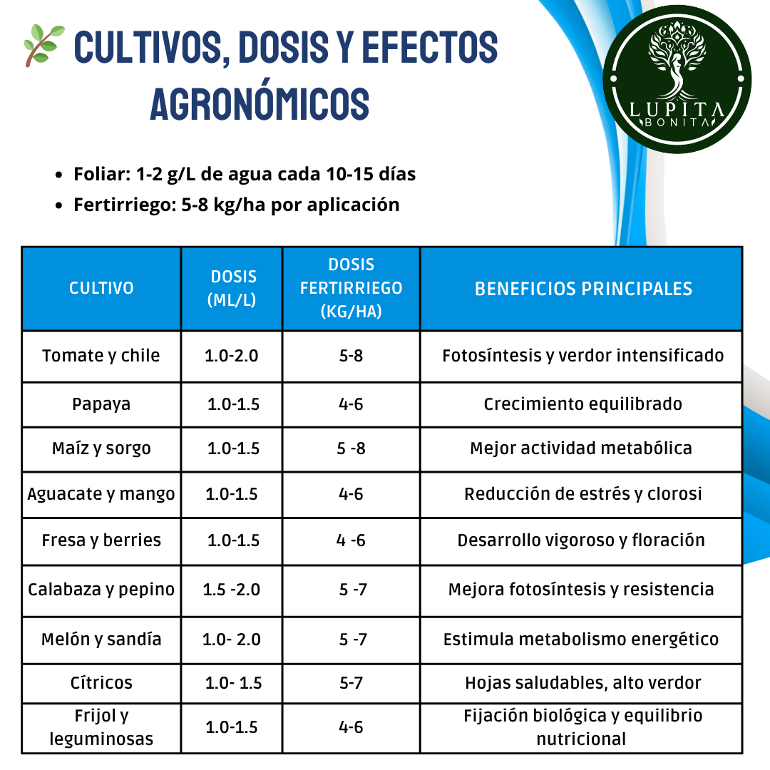 Nitrato de Magnesio Ultrasoluble Concentrado – Fertilizante soluble con magnesio y nitrógeno nítrico para fotosíntesis y vigor vegetal