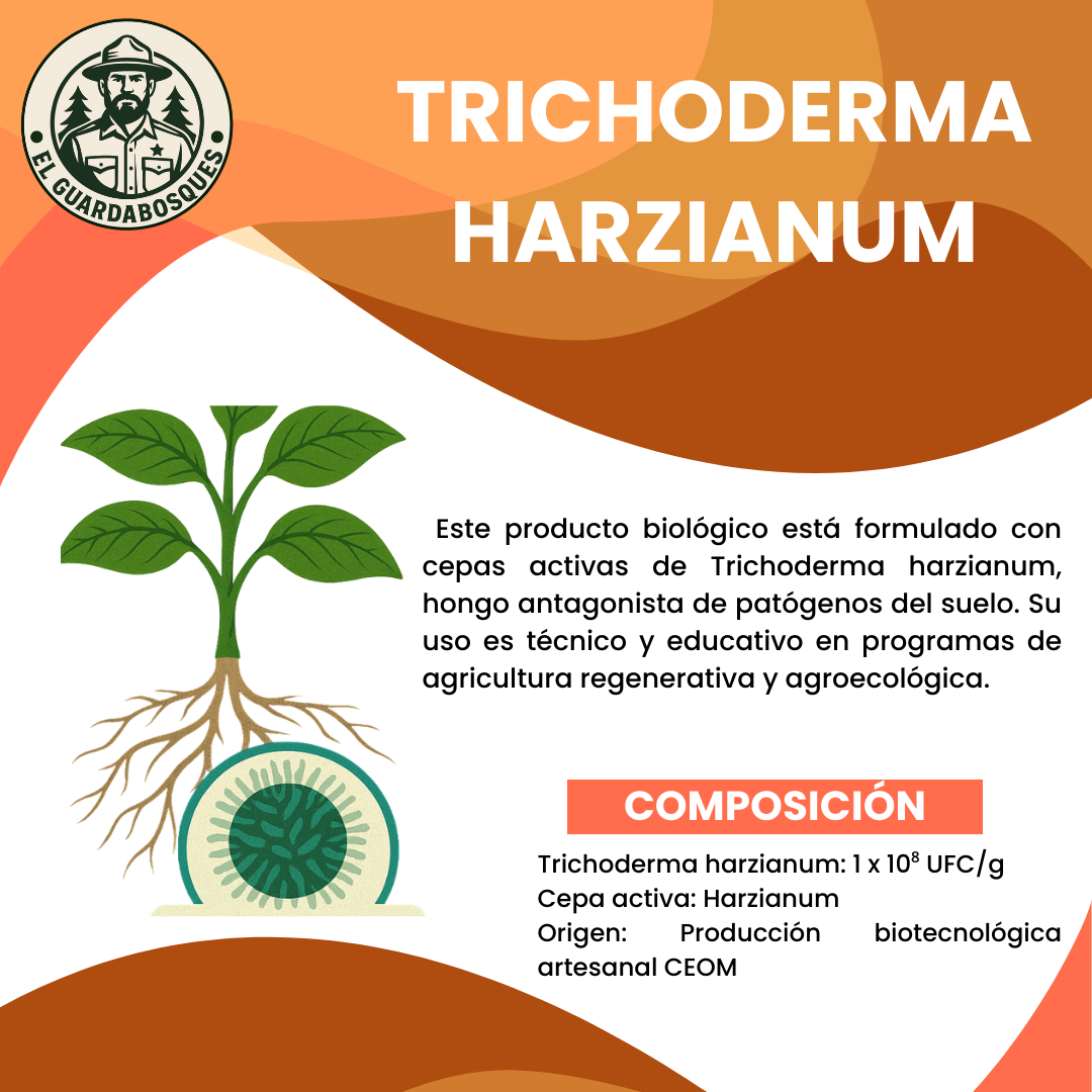 Trichoderma Harzianum – Fungicida biológico para control de patógenos del suelo y estimulación radicular