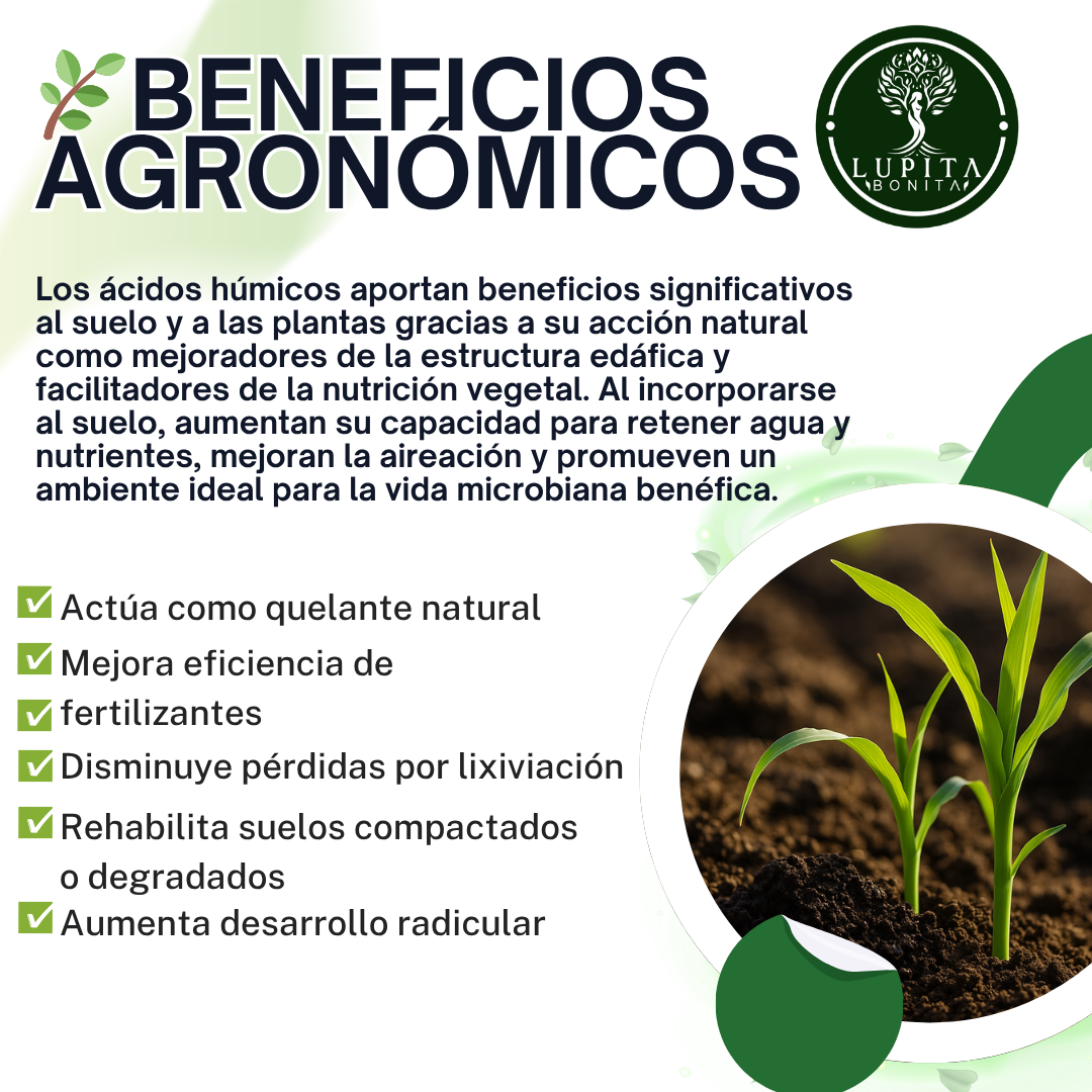 Ácidos Húmicos Puros Ultrasolubles – Extracto húmico concentrado para suelos fértiles y cultivos vigorosos