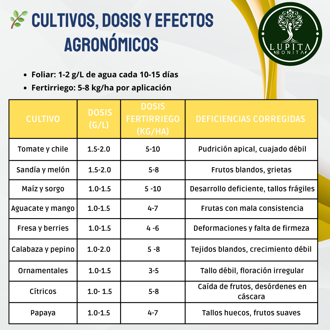 Nitrato de Calcio Ultrasoluble Concentrado – Fuente soluble de calcio y nitrógeno para firmeza de frutos y crecimiento vigoroso