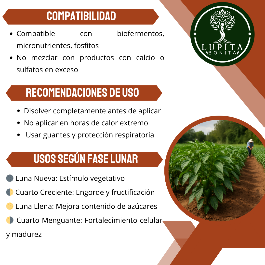 Nitrato de Potasio Ultrasoluble Concentrado – Fertilizante soluble con potasio y nitrógeno nítrico para fructificación, engorde y calidad de frutos