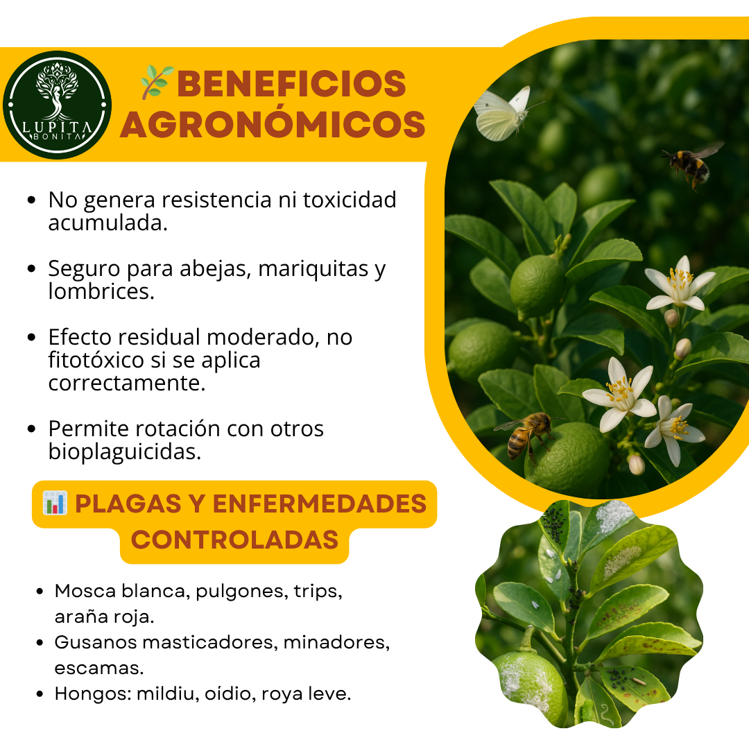 Aceite de Neem al 50% – Insecticida y antifúngico natural de amplio espectro