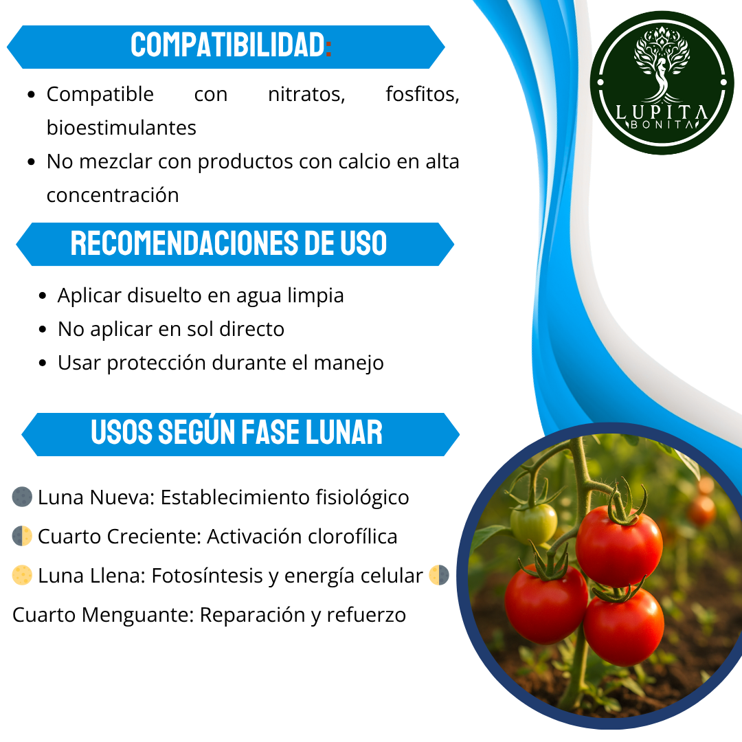 Nitrato de Magnesio Ultrasoluble Concentrado – Fertilizante soluble con magnesio y nitrógeno nítrico para fotosíntesis y vigor vegetal