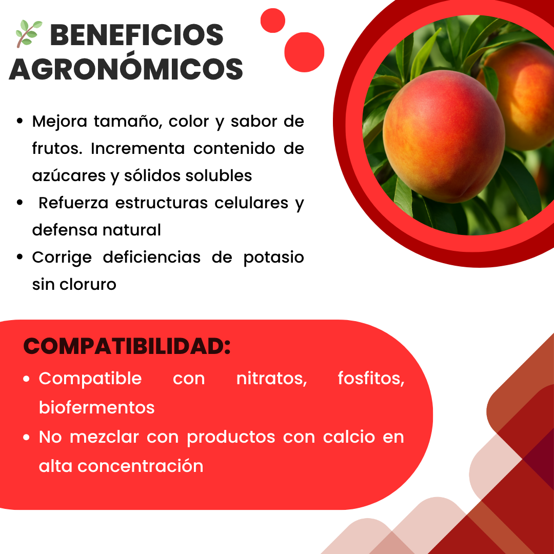 Sulfato de Potasio Ultrasoluble Concentrado – Fertilizante mineral para maduración, engorde y resistencia vegetal