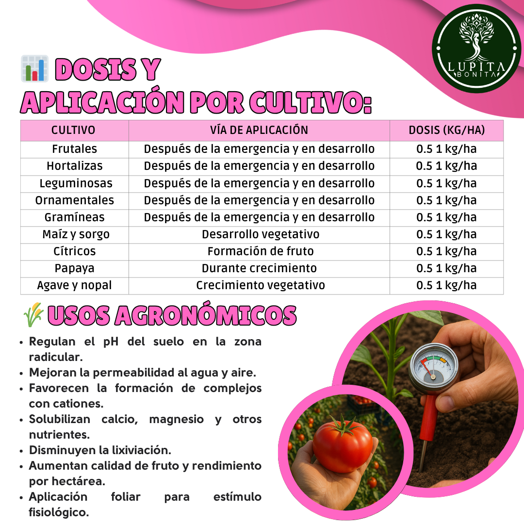 Ácidos Carboxílicos Puros Ultrasolubles – Bioestimulante y regenerador del suelo con efecto complejante