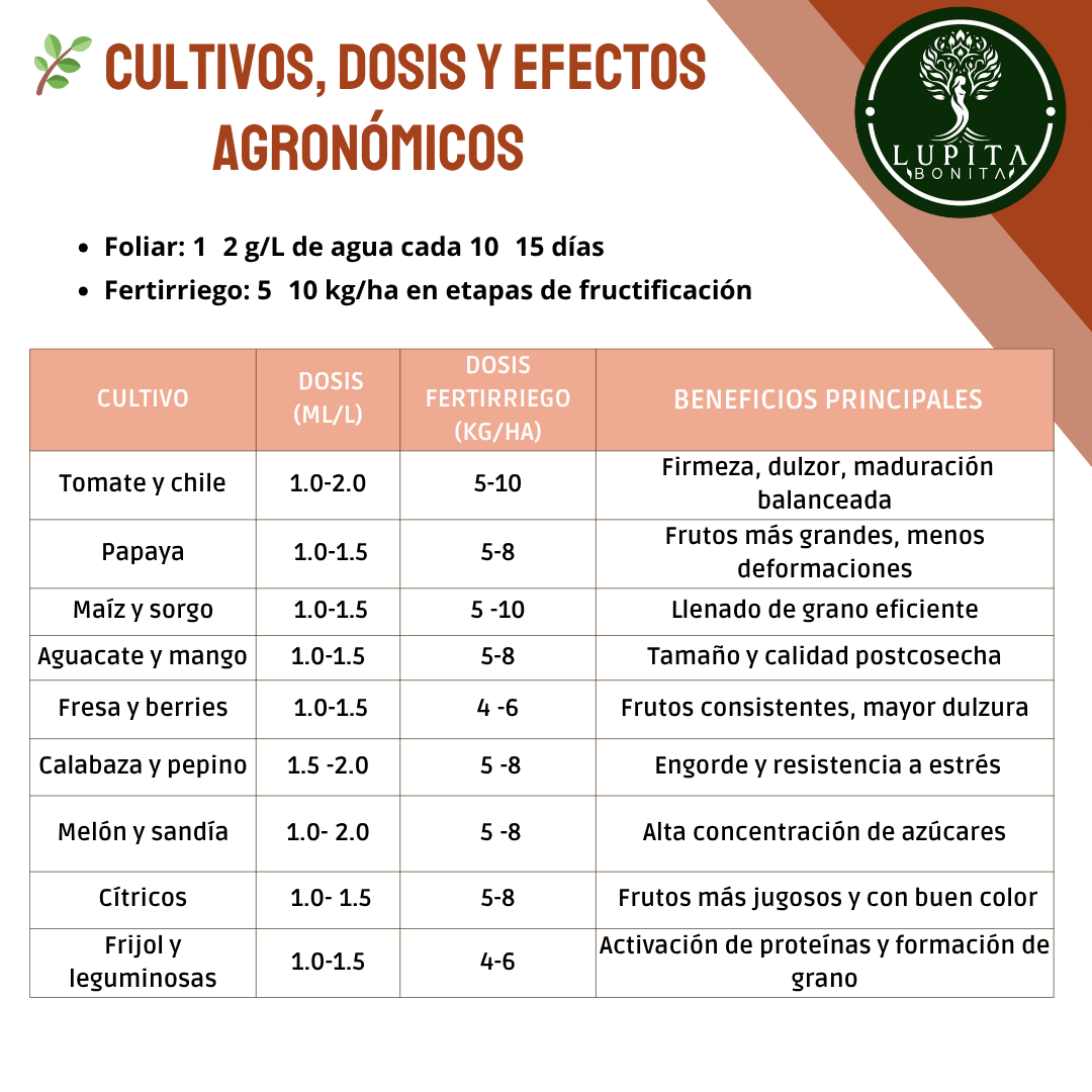 Nitrato de Potasio Ultrasoluble Concentrado – Fertilizante soluble con potasio y nitrógeno nítrico para fructificación, engorde y calidad de frutos