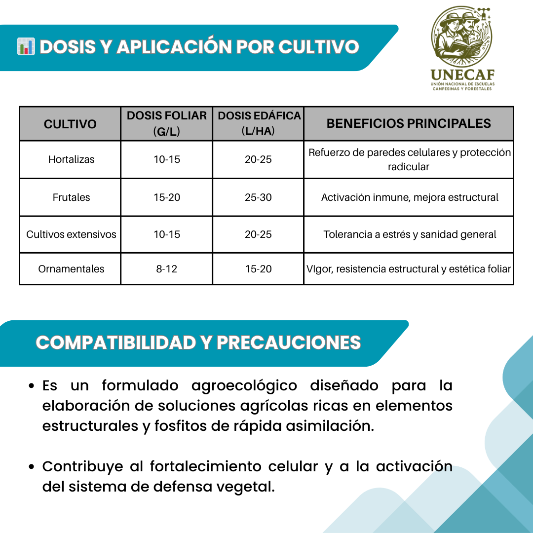 Agua de Vidrio con Fosfitos – Kit en polvo concentrado para preparar bioinsumo alcalino con silicio, potasio y fósforo (100 L)