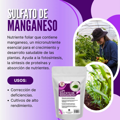 Sulfato de Manganeso Ultrasoluble Concentrado – Micronutriente clave para fotosíntesis y corrección de clorosis