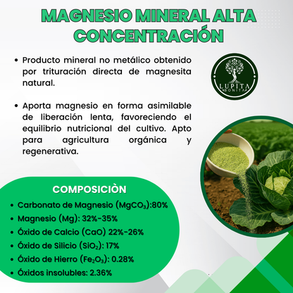 Magnesio Mineral Alta Concentración – Fuente natural de magnesio para fotosíntesis y fortalecimiento de frutos