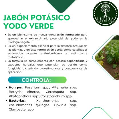 Jabón Potásico Yodo Verde – Insecticida, fungicida y bioestimulante con yodo y potasio para sanidad integral de cultivos