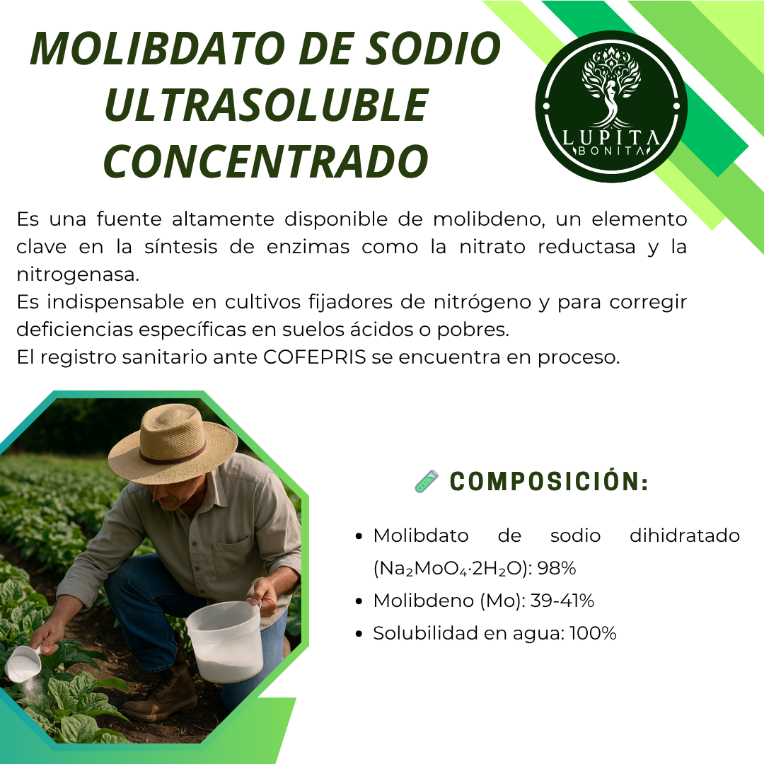 Molibdato de Sodio Ultrasoluble Concentrado – Micronutriente esencial para fijación de nitrógeno y metabolismo proteico