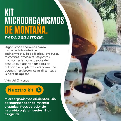 Kit Educativo de Microorganismos Activados 200 L – Bioinoculante fermentado para suelos y cultivos