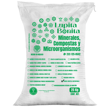 Ceniza Vegetal Sustentable – Enmienda mineral alcalina rica en potasio y micronutrientes