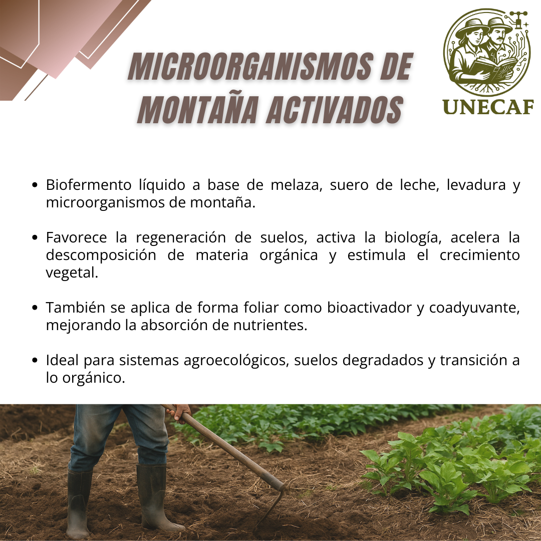Microorganismos de Montaña Activados – Biofermento líquido para regeneración de suelos, activación microbiana y estimulación vegetal