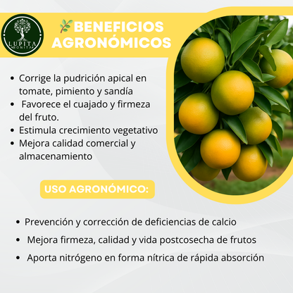 Nitrato de Calcio Ultrasoluble Concentrado – Fuente soluble de calcio y nitrógeno para firmeza de frutos y crecimiento vigoroso