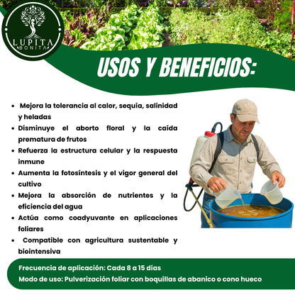 Jabón Potásico Amor Verde – Bioestimulante foliar con potasio, silicio, titanio y selenio para sanidad y resiliencia de cultivos