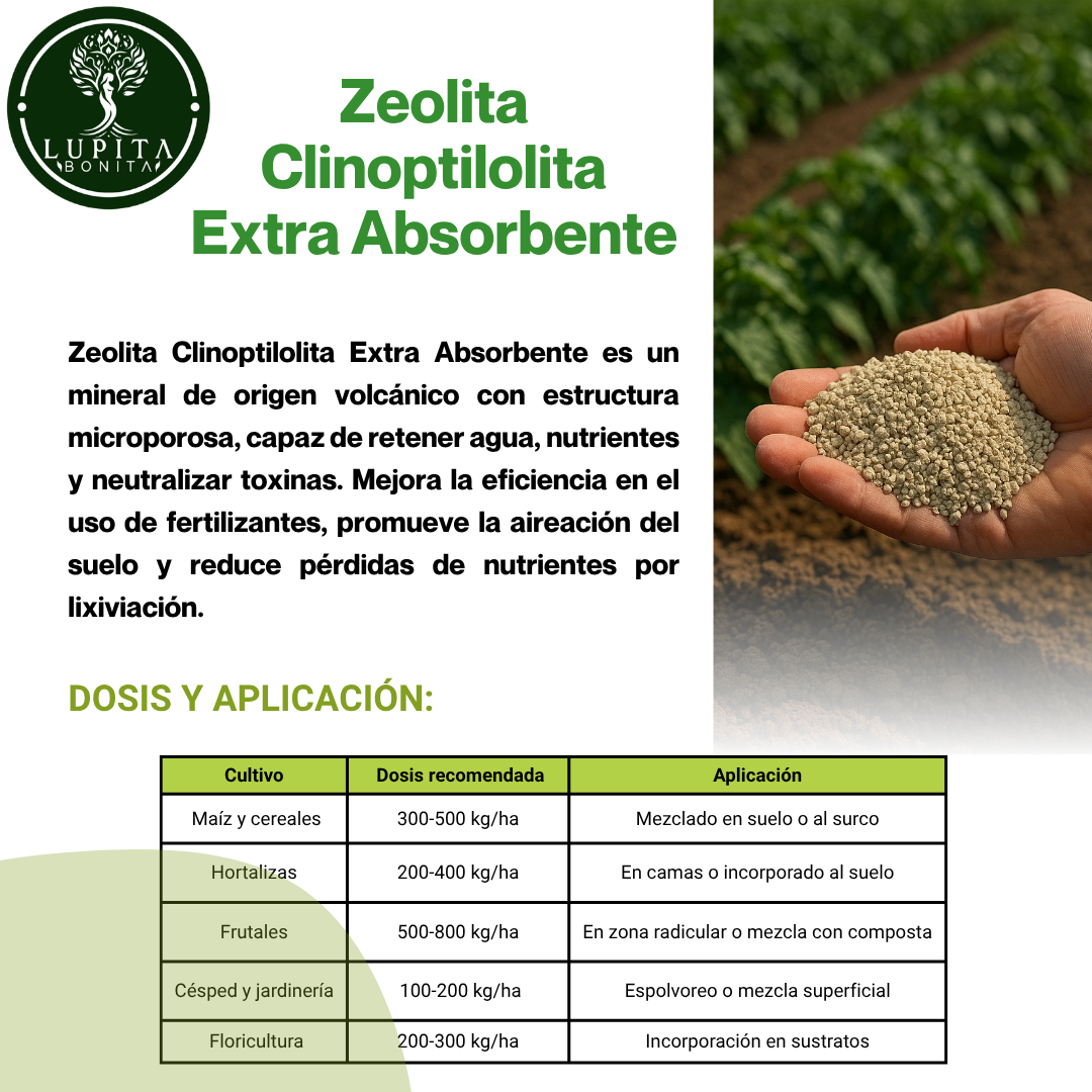 Zeolita Clinoptilolita Extra Absorbente – Mineral volcánico para retención de agua y nutrientes