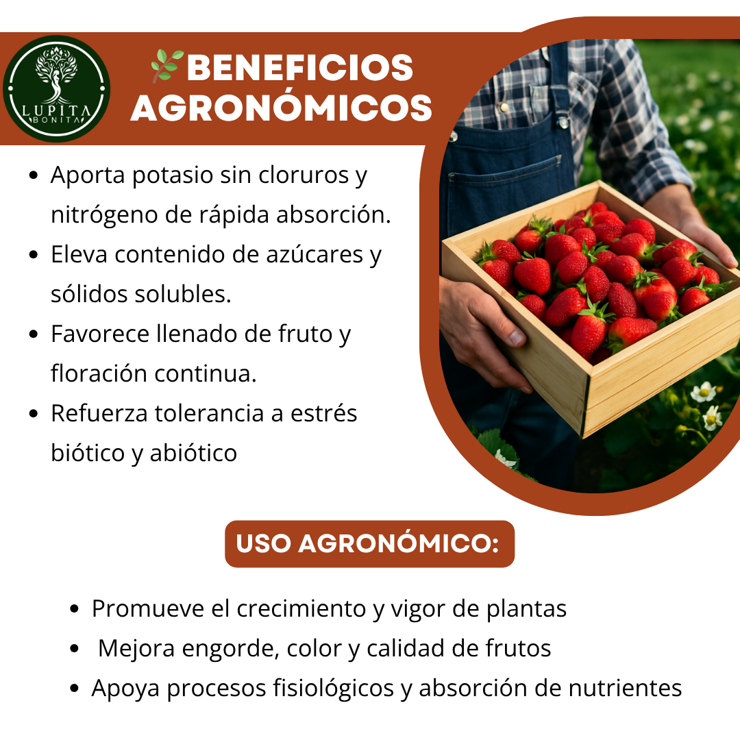 Nitrato de Potasio Ultrasoluble Concentrado – Fertilizante soluble con potasio y nitrógeno nítrico para fructificación, engorde y calidad de frutos