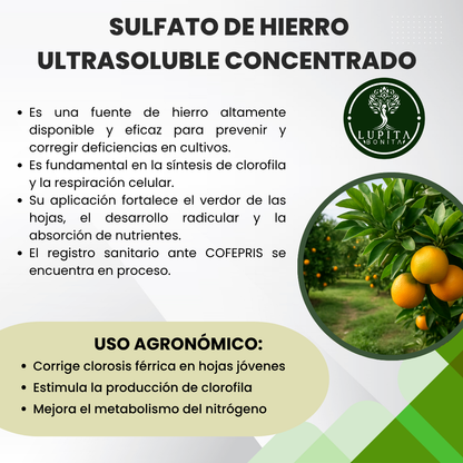 Sulfato de Hierro Ultrasoluble Concentrado – Corrector de clorosis y fuente de hierro para cultivos