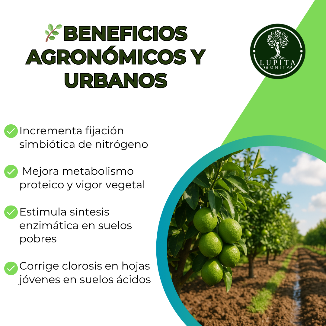 Molibdato de Sodio Ultrasoluble Concentrado – Micronutriente esencial para fijación de nitrógeno y metabolismo proteico
