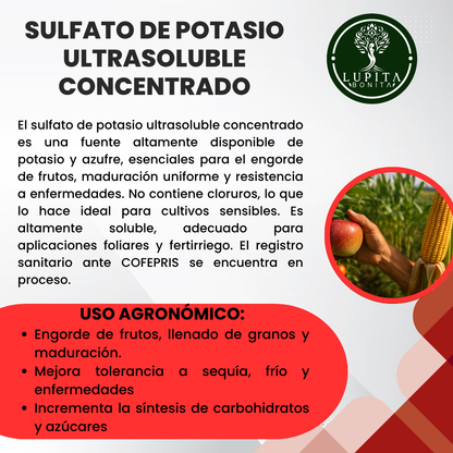 Sulfato de Potasio Ultrasoluble Concentrado – Fertilizante mineral para maduración, engorde y resistencia vegetal