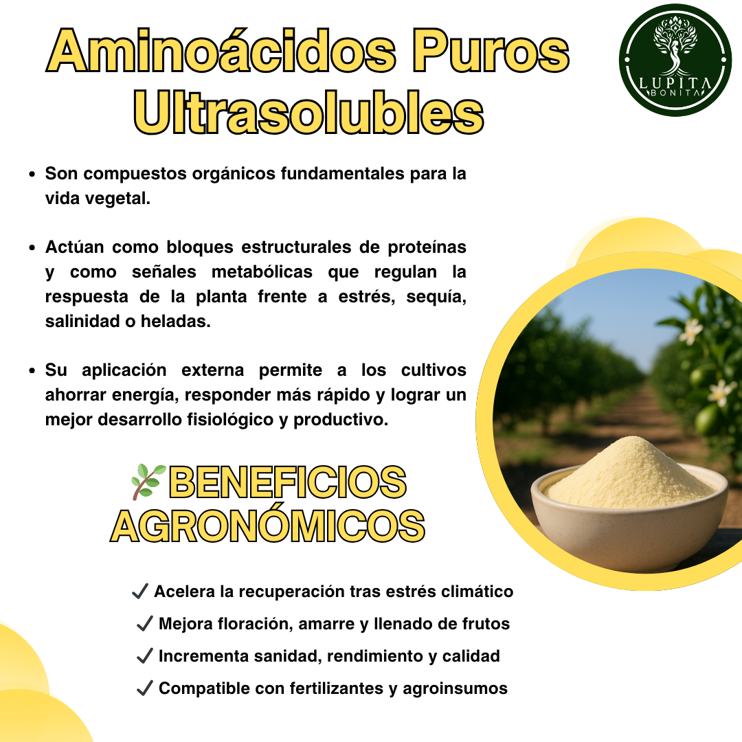 Aminoácidos Agrícolas Concentrado Ultrasoluble – Bioestimulante en polvo soluble con 90% de aminoácidos y nitrógeno orgánico