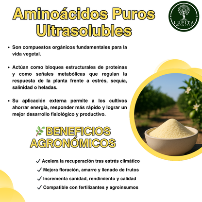 Aminoácidos Agrícolas Concentrado Ultrasoluble – Bioestimulante en polvo soluble con 90% de aminoácidos y nitrógeno orgánico