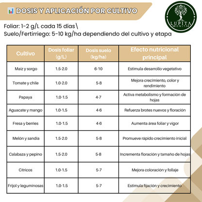 Sulfato de Amonio Ultrasoluble Concentrado – Fertilizante nitrogenado y azufrado para crecimiento vigoroso