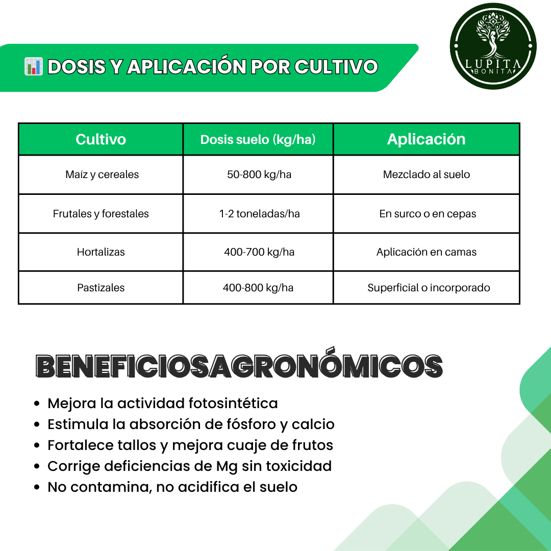Magnesio Mineral Alta Concentración – Fuente natural de magnesio para fotosíntesis y fortalecimiento de frutos