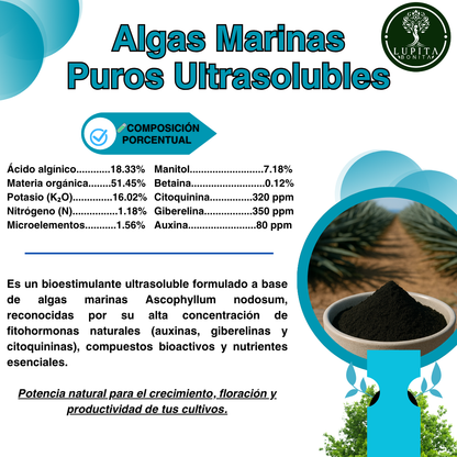 Algas Marinas Puros Ultrasolubles – Bioestimulante natural anti-estrés y promotor del crecimiento
