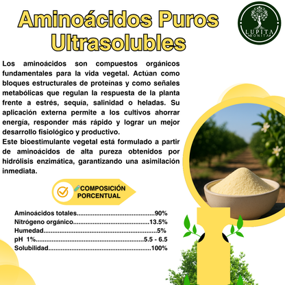 Aminoácidos Puros Ultrasolubles – Bioestimulante con absorción inmediata para cultivos vigorosos