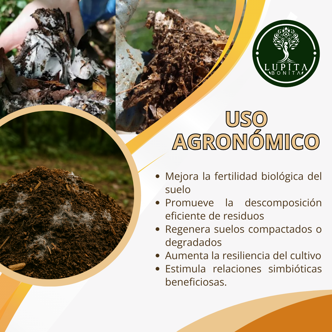 Microorganismos Sólidos de Montaña Ponche Benéfico – Inoculante sólido multiespecie para regeneración de suelos y compostas