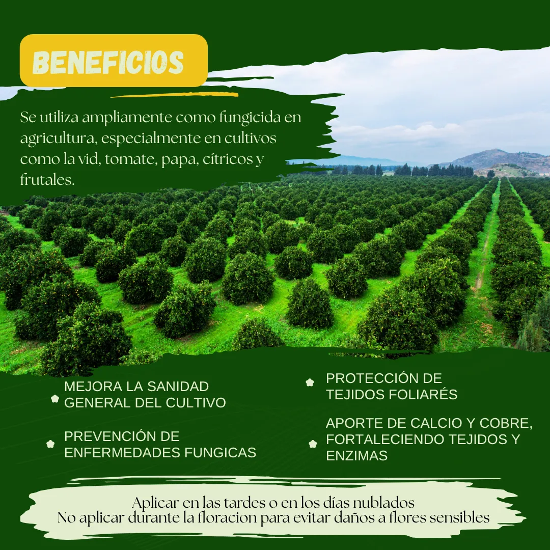 Kit Caldo Bordelés Concentrado 200 L – Biofungicida mineral artesanal preventivo para cultivos y jardines