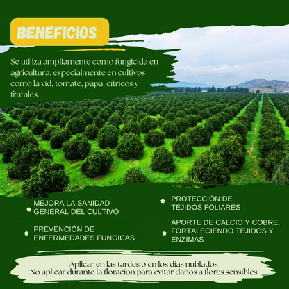 Kit Caldo Bordelés Concentrado 200 L – Biofungicida mineral artesanal preventivo para cultivos y jardines