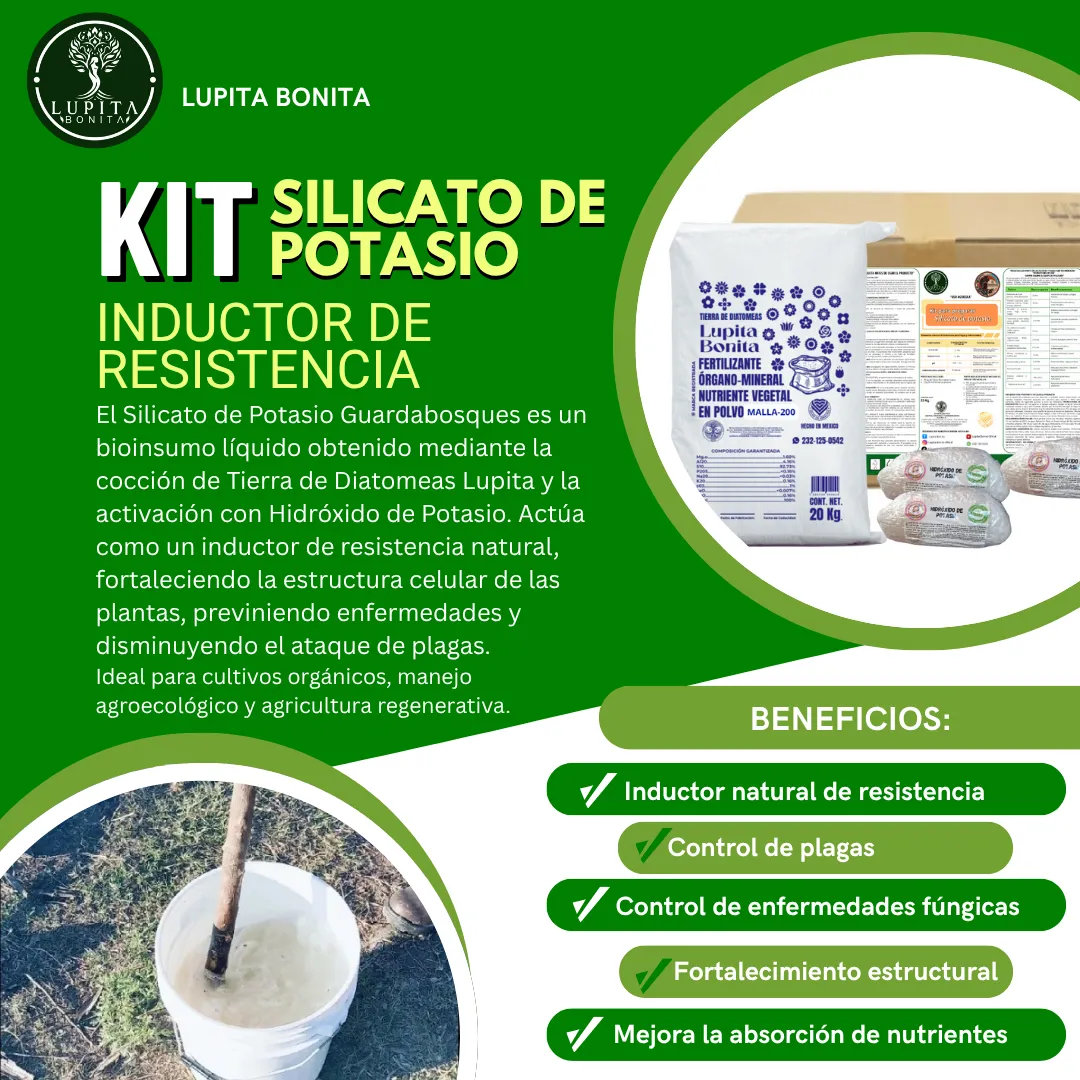 Kit Silicato de Potasio 100 L – Bioinsumo preventivo contra plagas y hongos, fortalecedor estructural