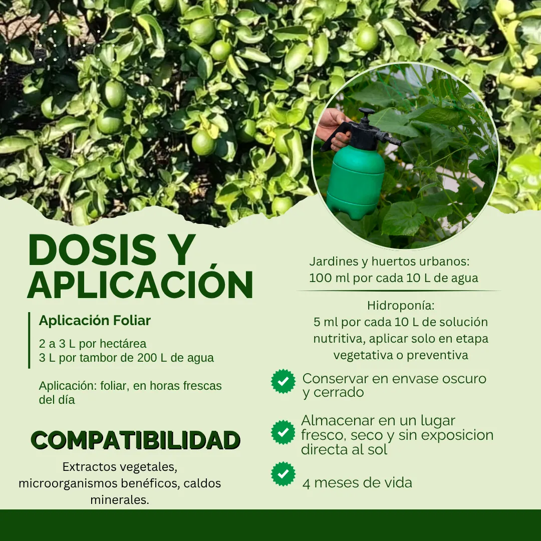 Kit Silicato de Potasio 100 L – Bioinsumo preventivo contra plagas y hongos, fortalecedor estructural