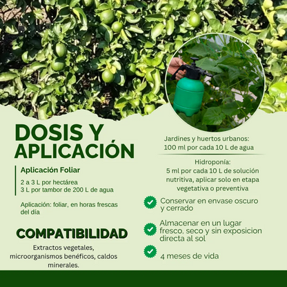 Kit Silicato de Potasio 100 L – Bioinsumo preventivo contra plagas y hongos, fortalecedor estructural