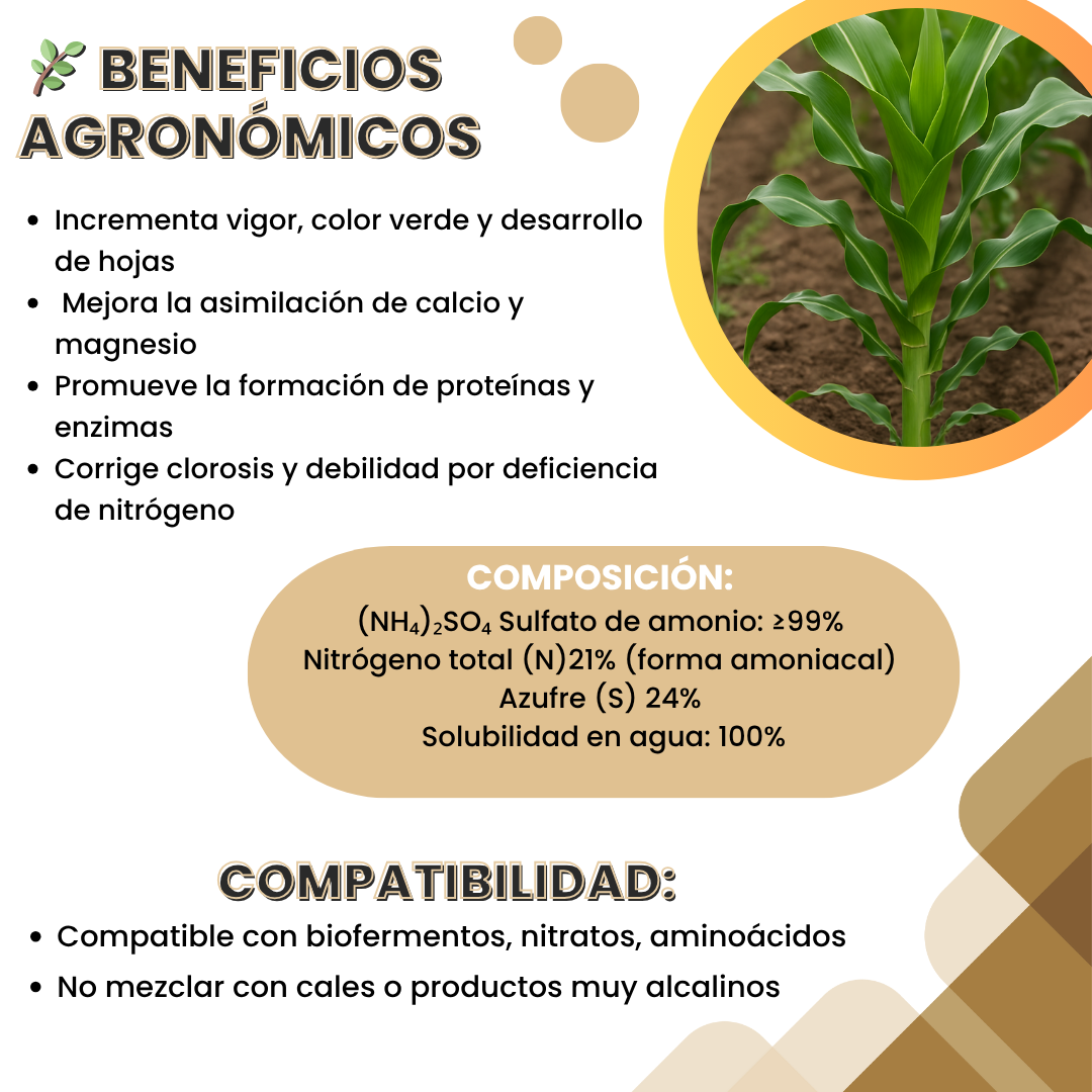 Sulfato de Amonio Ultrasoluble Concentrado – Fertilizante nitrogenado y azufrado para crecimiento vigoroso