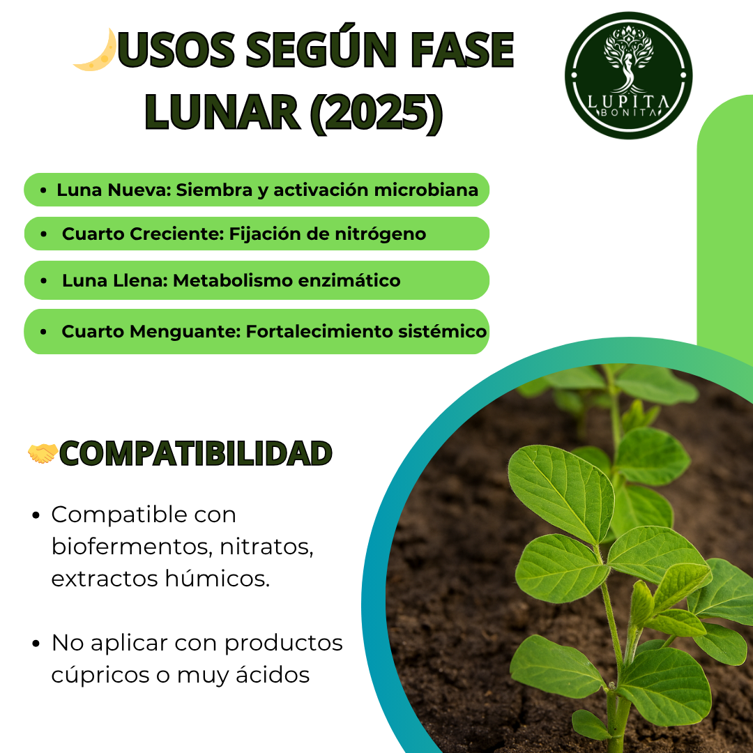 Molibdato de Sodio Ultrasoluble Concentrado – Micronutriente esencial para fijación de nitrógeno y metabolismo proteico