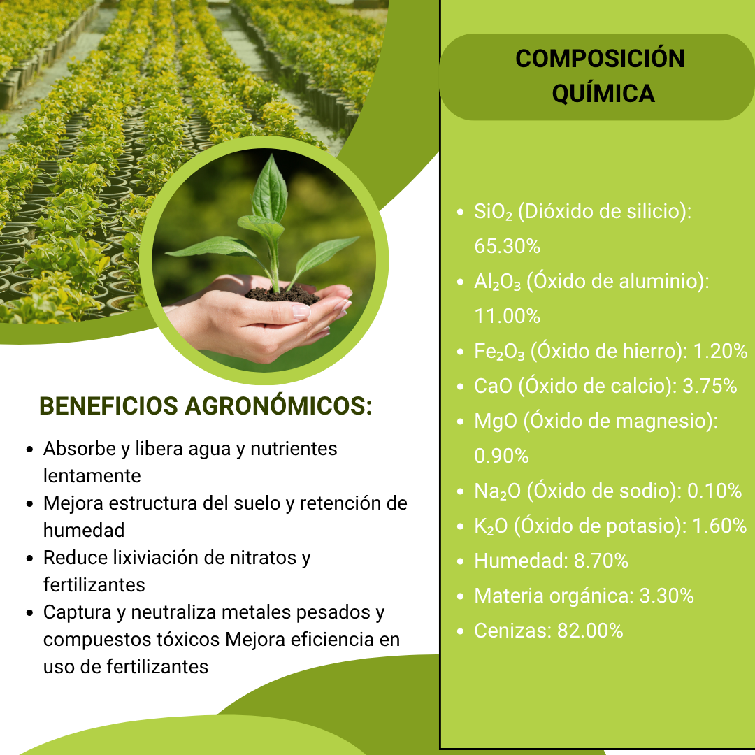 Zeolita Clinoptilolita Extra Absorbente – Mineral volcánico para retención de agua y nutrientes