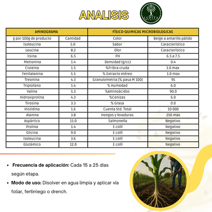 Aminoácidos Agrícolas Concentrado Ultrasoluble – Bioestimulante en polvo soluble con 90% de aminoácidos y nitrógeno orgánico
