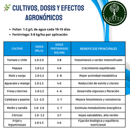 Nitrato de Magnesio Ultrasoluble Concentrado – Fertilizante soluble con magnesio y nitrógeno nítrico para fotosíntesis y vigor vegetal