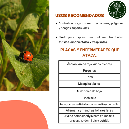 Jabón Potásico Flor de Azufre – Control natural de plagas y hongos en cultivos