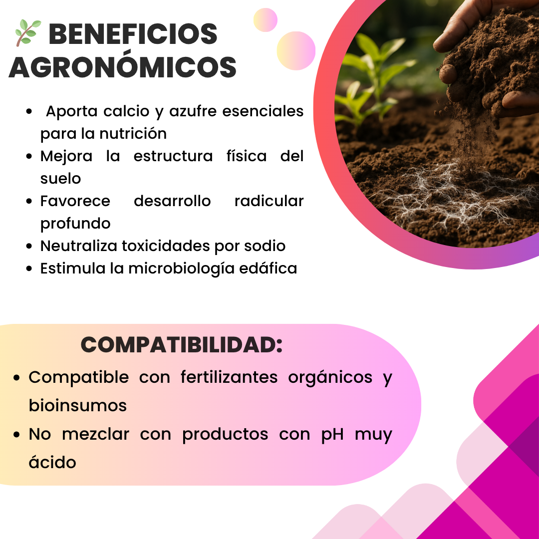 Sulfato de Calcio Premium Mineral – Corrector de calcio y azufre, mejorador de suelos y raíces